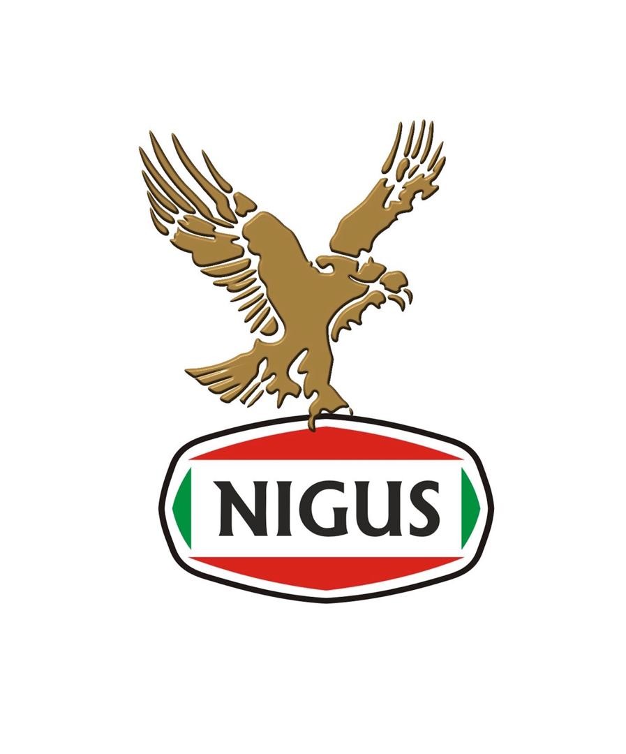 Nigus International Investment Limited